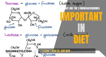 Monosaccharides: The 3 Diet Essentials