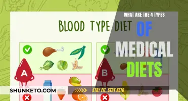 Exploring the Four Key Types of Medical Diets