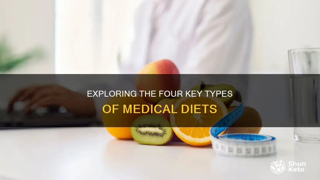 what are the 4 types of medical diets