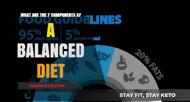 Key Components of a Balanced Diet