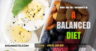 Nutrient Essentials for a Balanced Diet