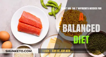 Nutrition Basics: 7 Key Nutrients for Balanced Health