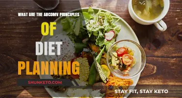 Unlocking Healthy Eating: ABCDMV Diet Planning Principles