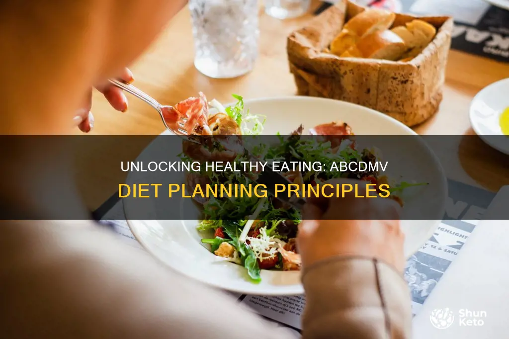 what are the abcdmv principles of diet planning