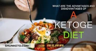 Ketogenic Diet: Benefits and Drawbacks Explained