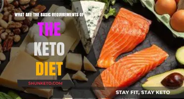 Mastering Keto: Essential Requirements for a Successful Low-Carb Diet