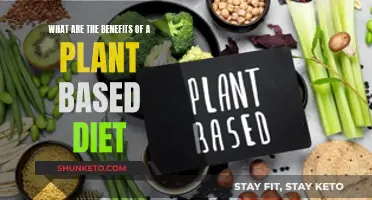 Plant Power: Benefits of a Plant-Based Diet