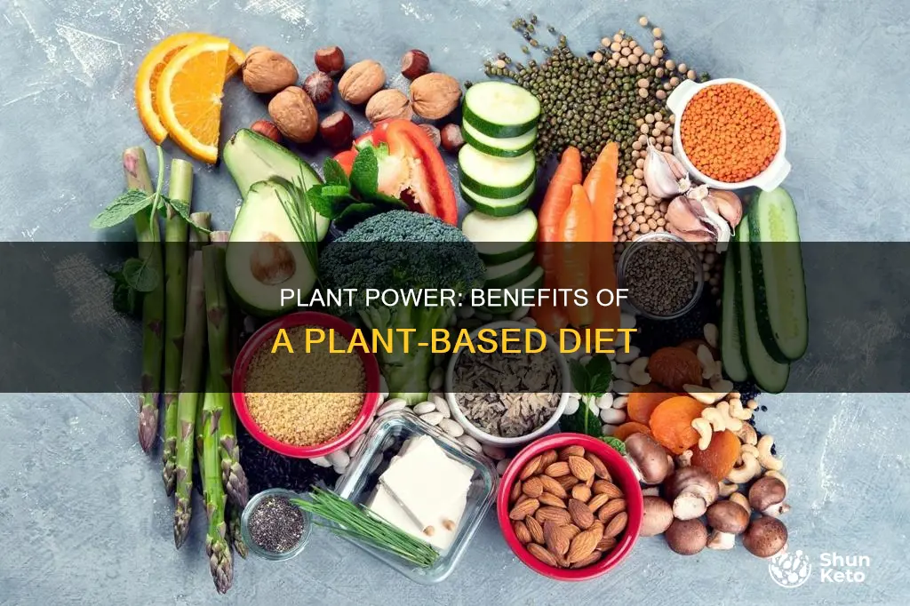 what are the benefits of a plant based diet