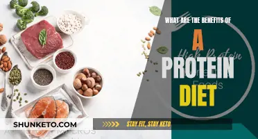 Protein Diet: Benefits for Your Health and Fitness