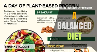 Protein Power: Benefits in a Balanced Diet