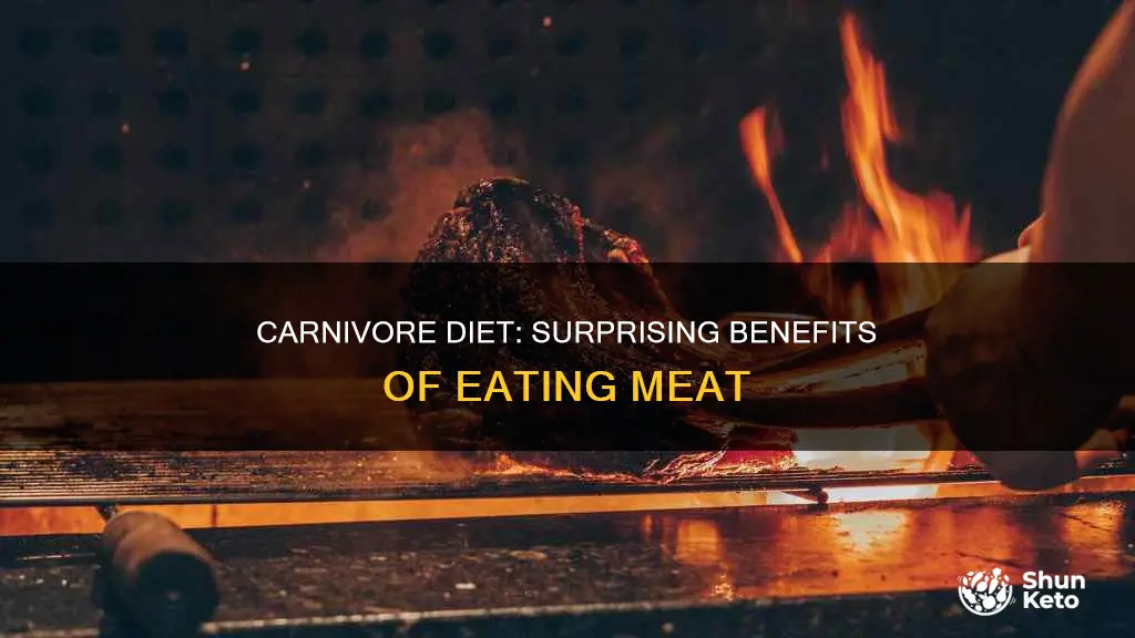 what are the benefits of the carnivore diet