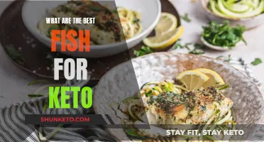 Best Fish Options for a Keto Diet