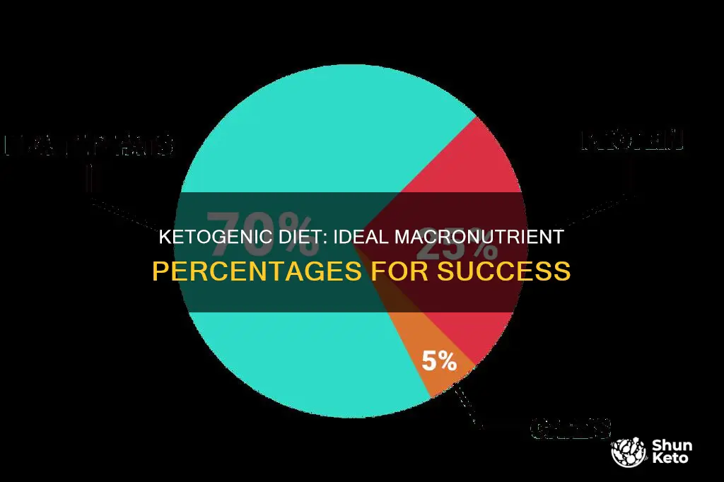 what are the best percentages for keto