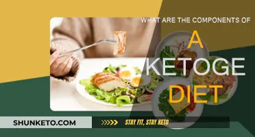 Ketogenic Diet: Understanding the Components for Success