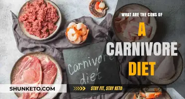 Carnivore Diet: Exploring the Potential Drawbacks