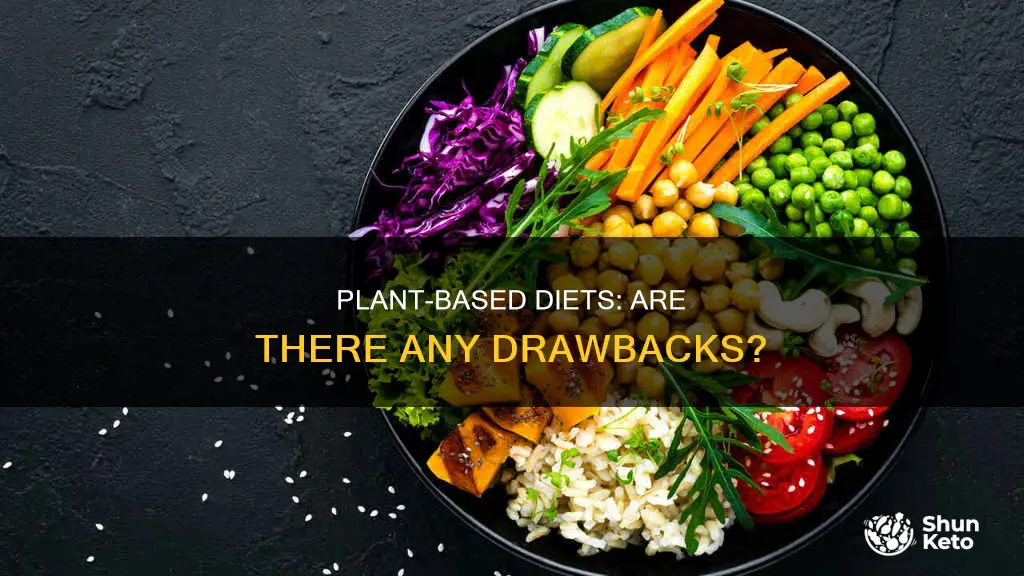 what are the cons of a plant based diet