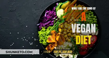 Vegan Diet: Exploring Potential Drawbacks and Concerns