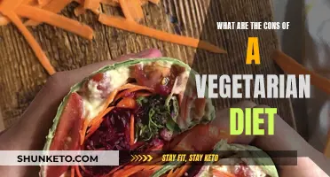 Vegetarian Diet: The Unseen Drawbacks and Health Risks