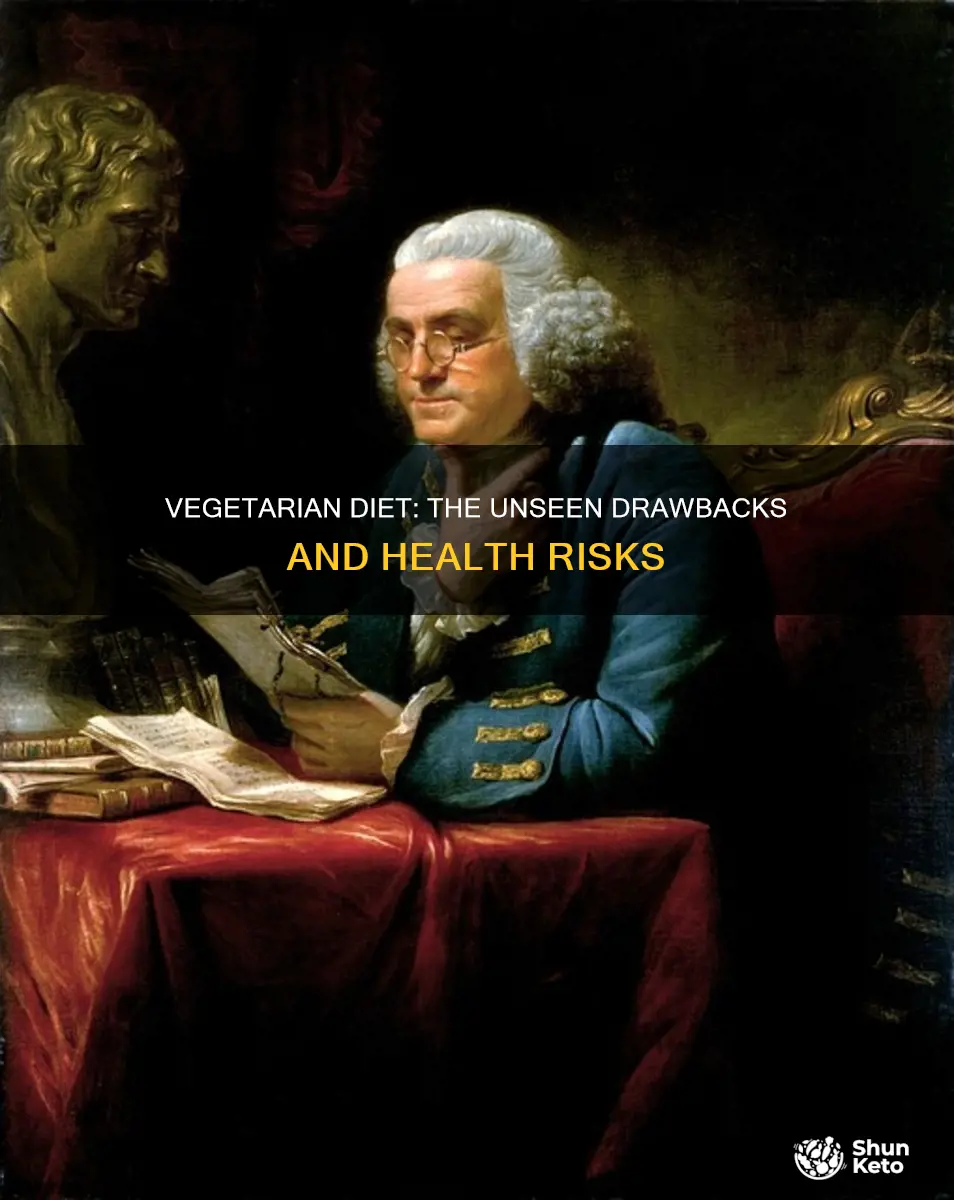 what are the cons of a vegetarian diet