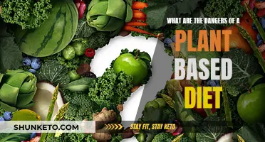 Plant-Based Diets: Potential Health Risks and Dangers