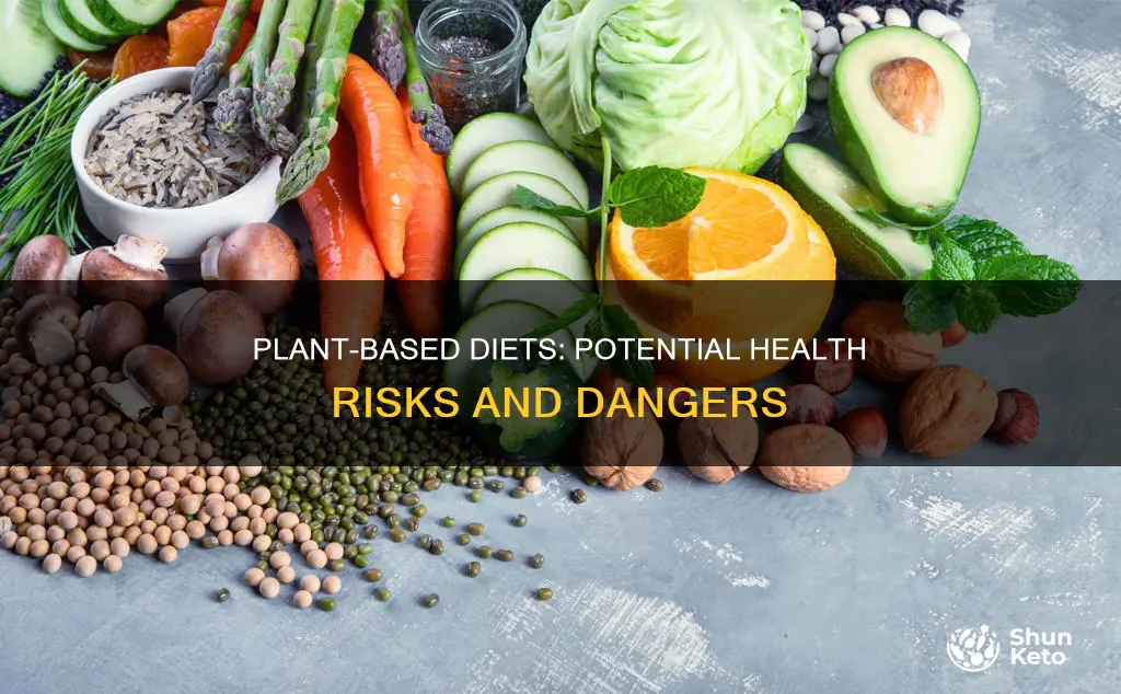 what are the dangers of a plant based diet