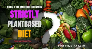 Plant-based Diets: Potential Health Risks and Dangers