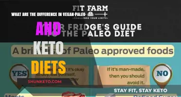 Vegan vs Paleo vs Keto: Key Diet Differences Explained