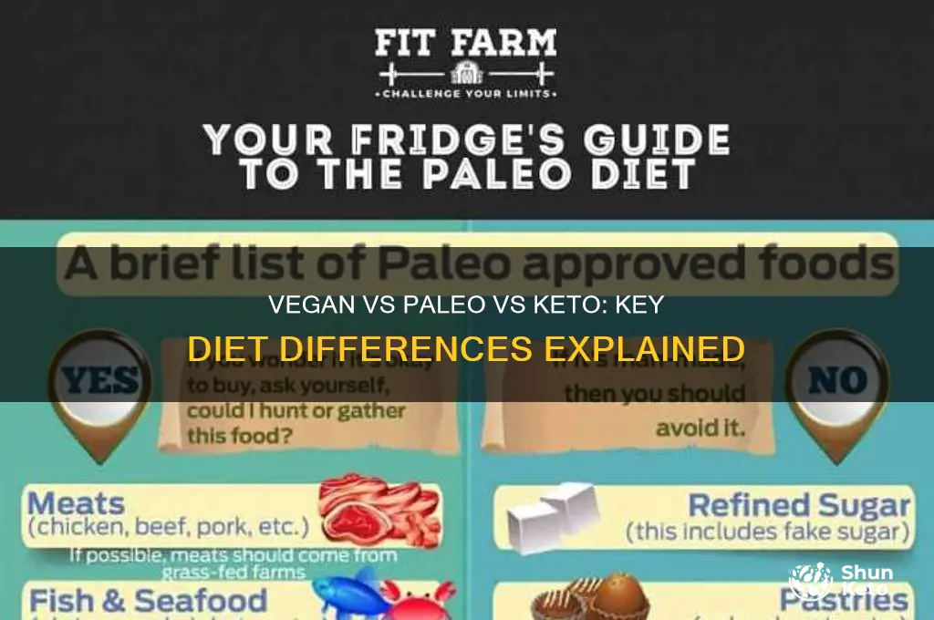 what are the difference in vegan paleo and keto diets