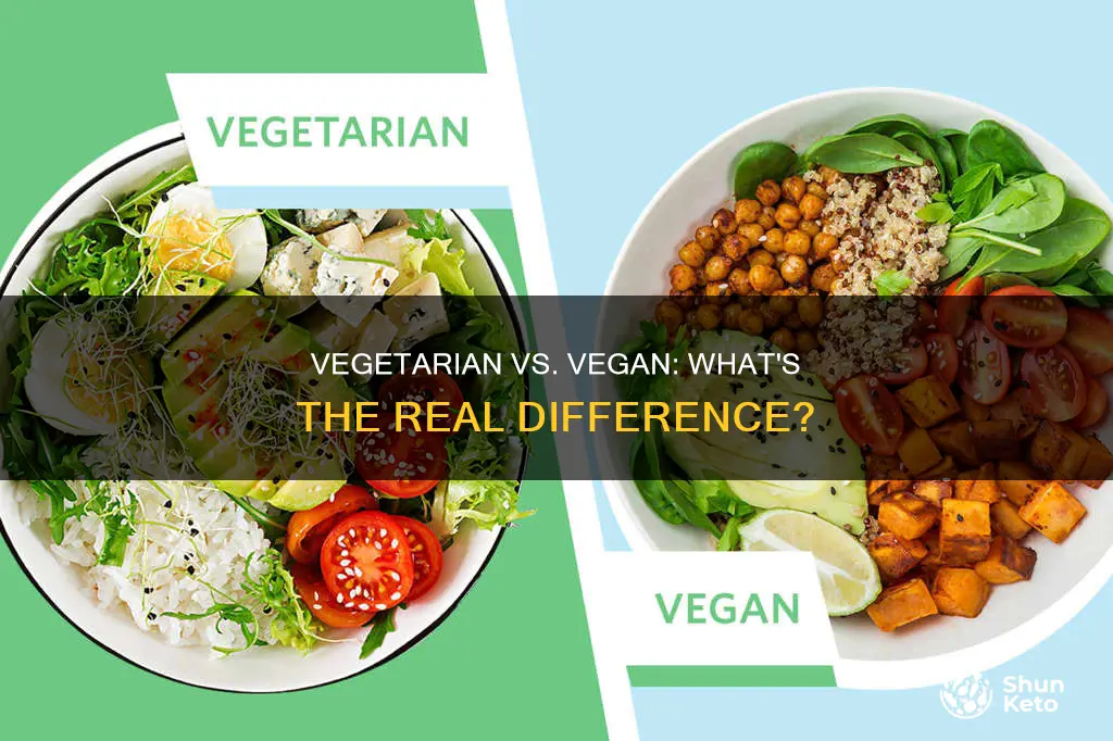 what are the differences between vegetarian and vegan diets