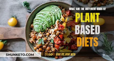 Exploring Varied Plant-Based Diets: A Comprehensive Guide