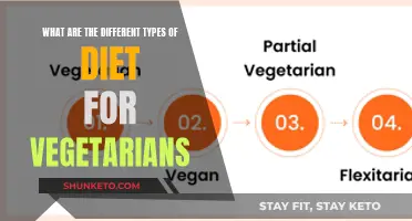 Exploring Vegetarian Diets: A Guide to Diverse Vegan Choices