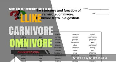 Exploring Diet Types: Carnivore, Omnivore, and More