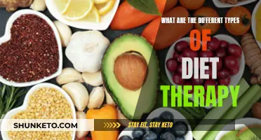 Exploring Diet Therapy: A Guide to Diverse Nutritional Approaches