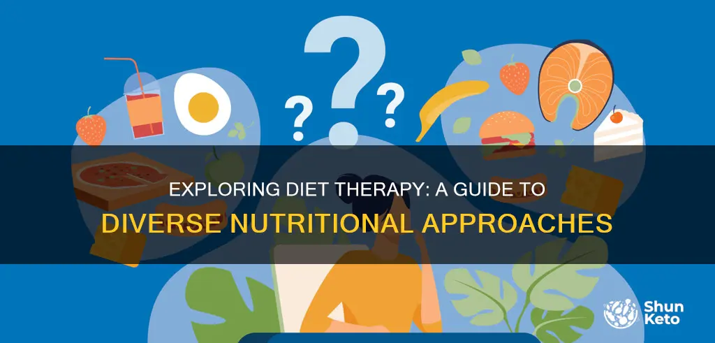 what are the different types of diet therapy