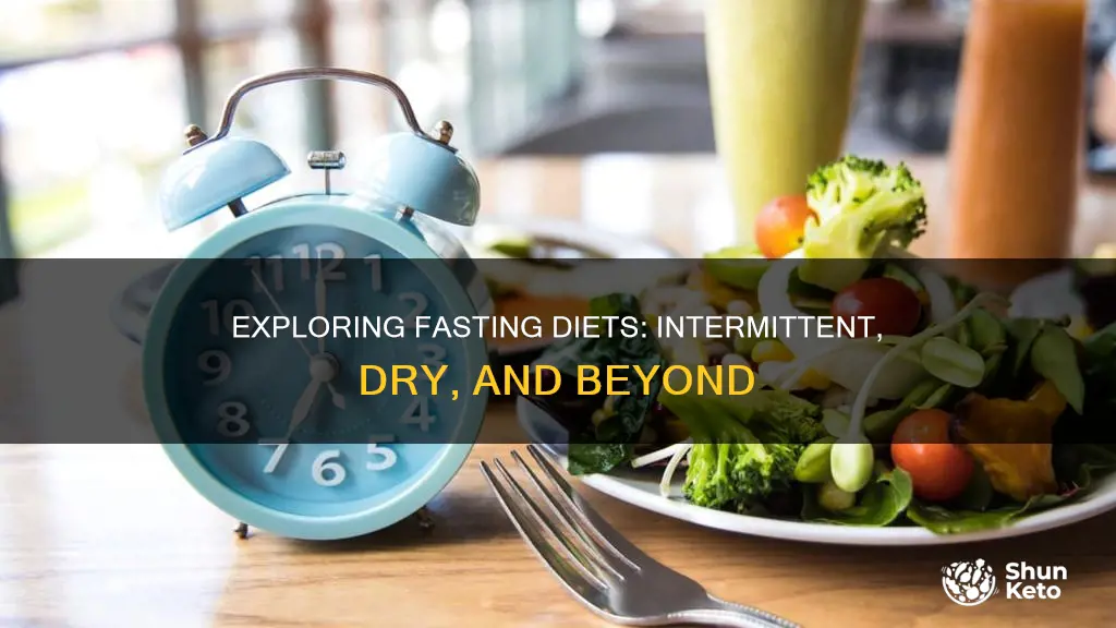 what are the different types of fasting diets