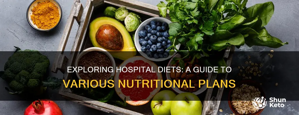 what are the different types of hospital diets