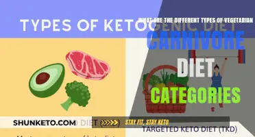 Exploring the Carnivore and Vegetarian Diet Spectrum