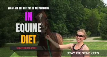 Phosphorus in Equine Diet: Benefits or Harm?