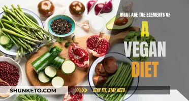 Vegan Diet: Essential Elements for a Healthy Lifestyle