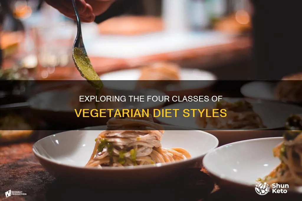 what are the four classes of vegetarian diet styles