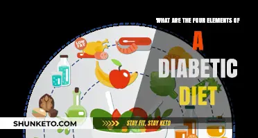 Diabetic Diet: Four Key Elements for Healthy Eating