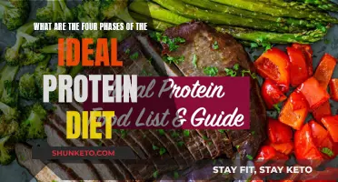 The Ideal Protein Diet: Four Phases to Success
