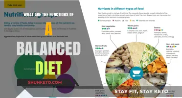Healthy Eating: Understanding Balanced Diet Functions