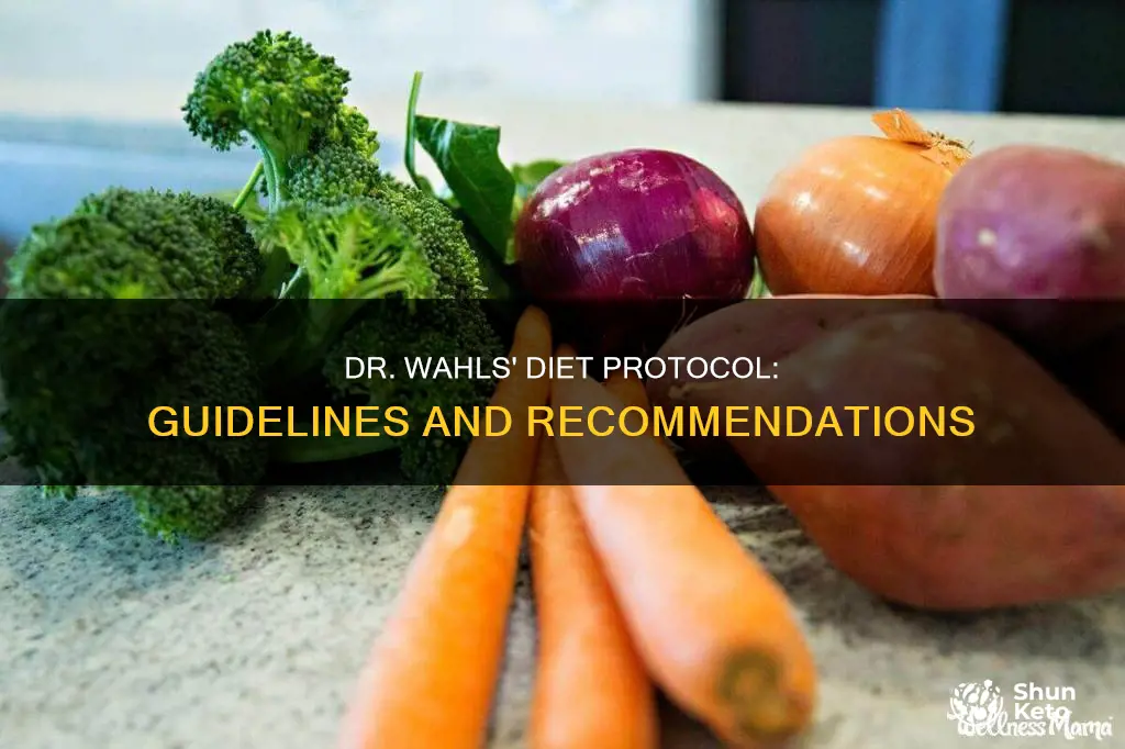 what are the guidelines for dr wahls diet protocol