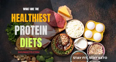 Protein-rich Diets: Healthy Options for Your Daily Meals