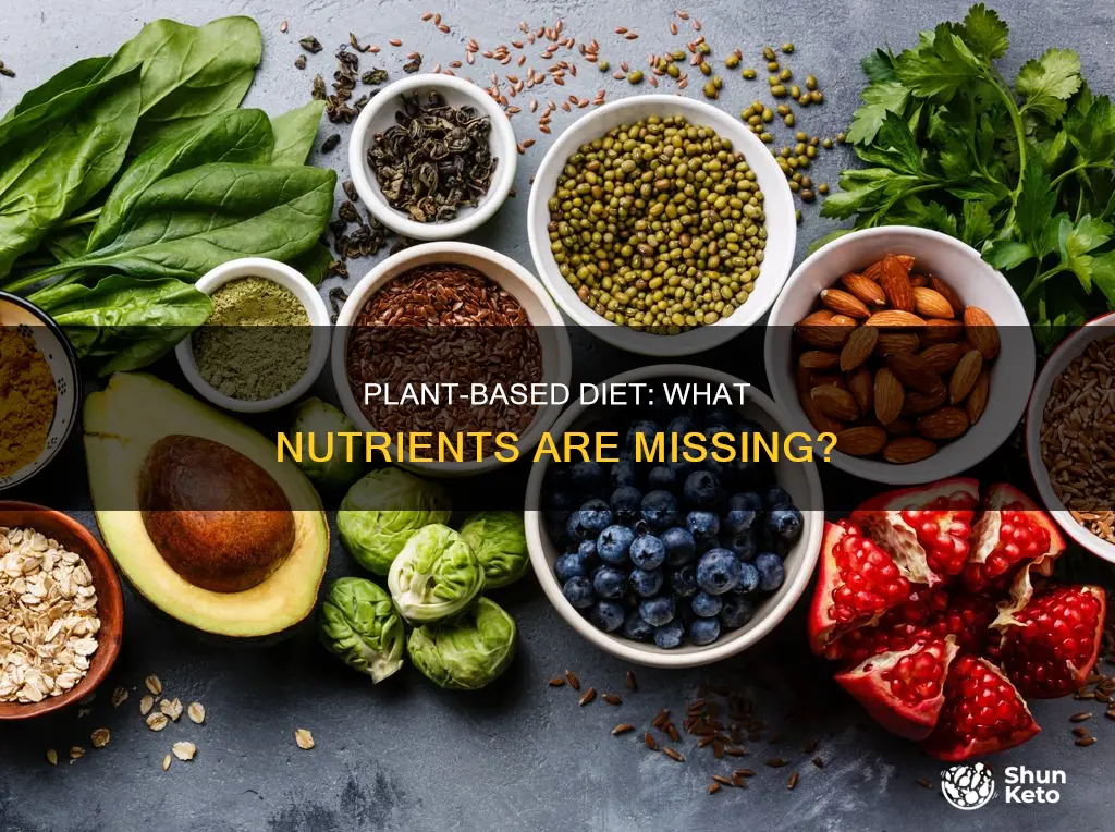 what are the limited nutrients in a plant based diet