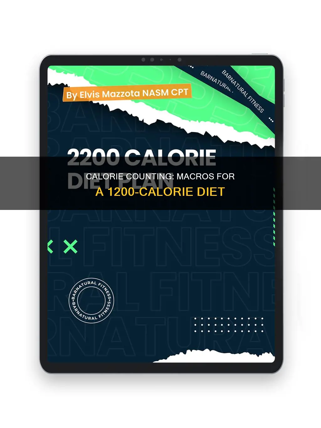 what are the macros for 1200 calorie diet