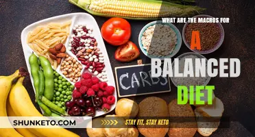 Macros for a Balanced Diet: Your Ultimate Guide
