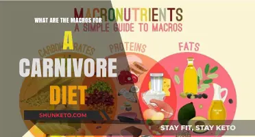 Carnivore Diet Macros: What to Eat and Why