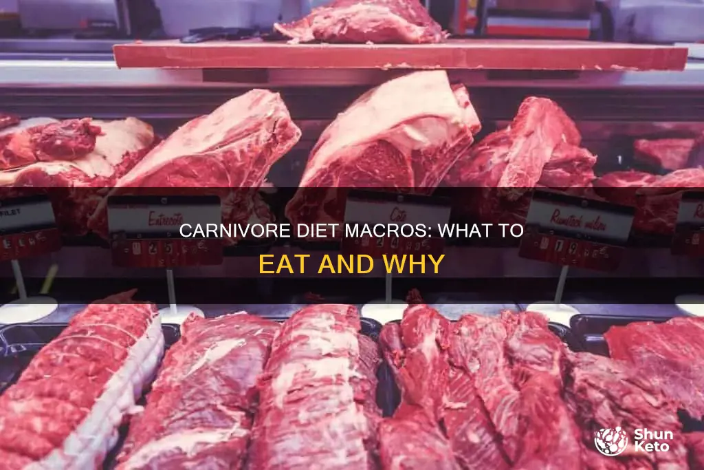 what are the macros for a carnivore diet